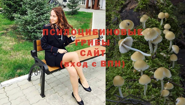 MDMA Premium VHQ Красноперекопск