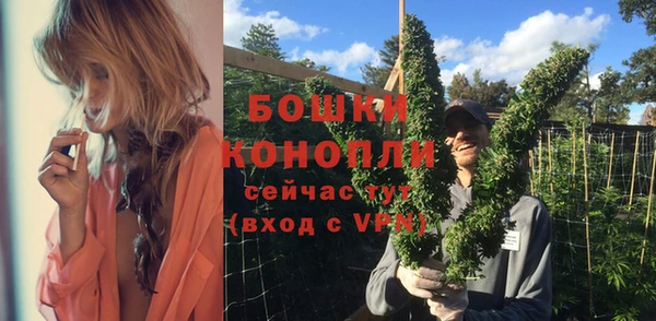 каннабис Корсаков