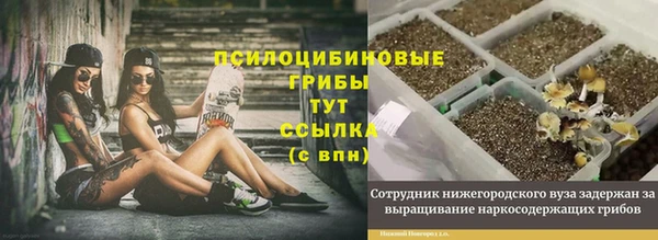 MDMA Premium VHQ Красноперекопск