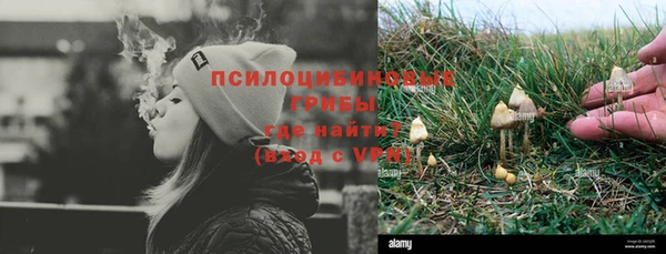 каннабис Корсаков